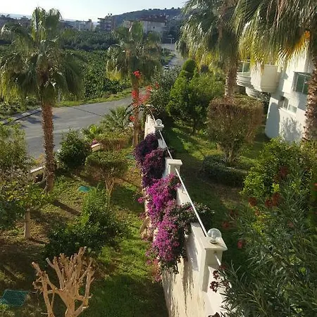 Dinek Mahallesi,eski Antalya Yplu Cad.,uygun Cleopatra 3 Sitesi No:59 Blok:e Daire:2 * Alanya